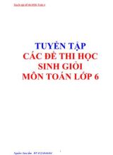 Tuyển tập các đề thi học sinh giỏi môn Toán lớp 6
